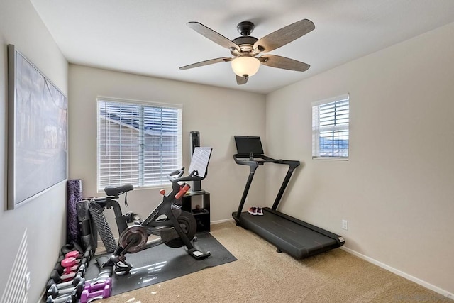 workout room featuring carpet floors and ceiling fan