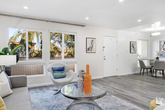 living room featuring hardwood / wood-style floors