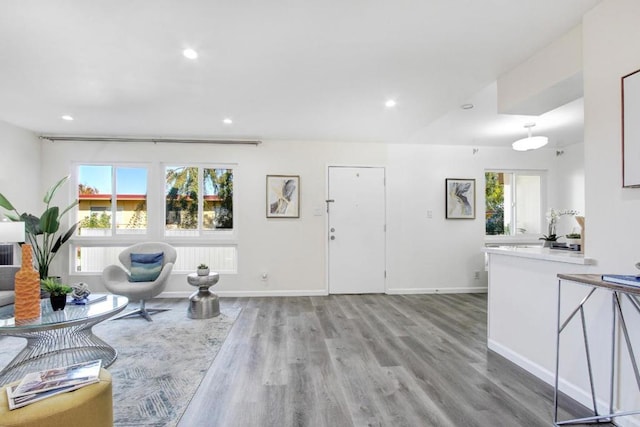 living room with light hardwood / wood-style flooring