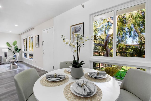 dining area featuring hardwood / wood-style floors