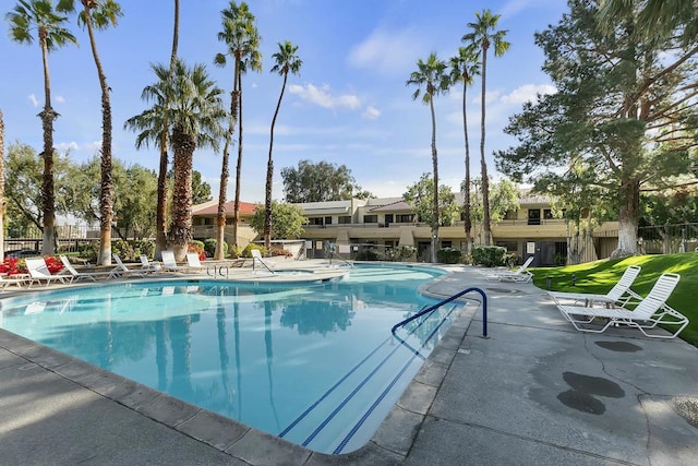 view of pool featuring a yard and a patio area