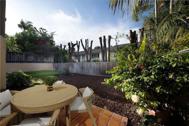 12999 Caminito Pointe Del Mar, Del Mar, CA 92014 - fenced backyard featuring a patio