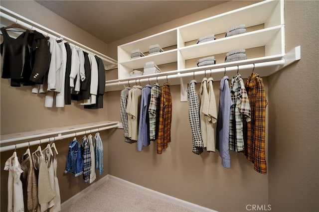 walk in closet featuring carpet flooring