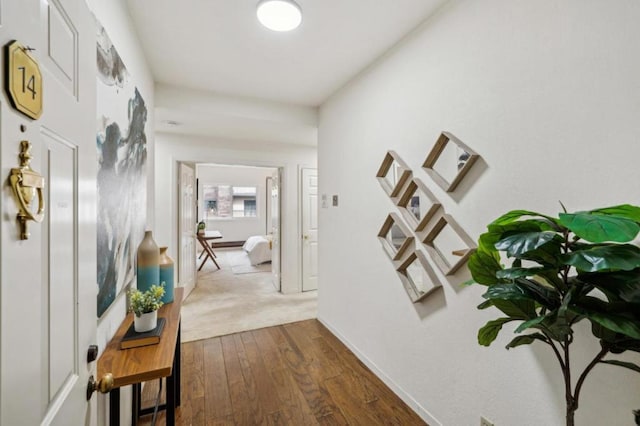 hallway featuring dark wood-type flooring