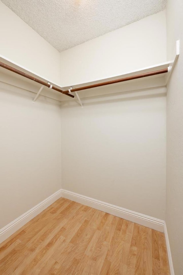 walk in closet featuring wood-type flooring