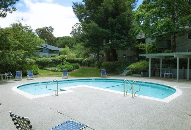 view of swimming pool featuring a pergola and a patio area