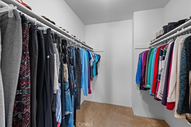 view of walk in closet