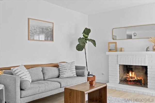 living room featuring wood-type flooring and a fireplace