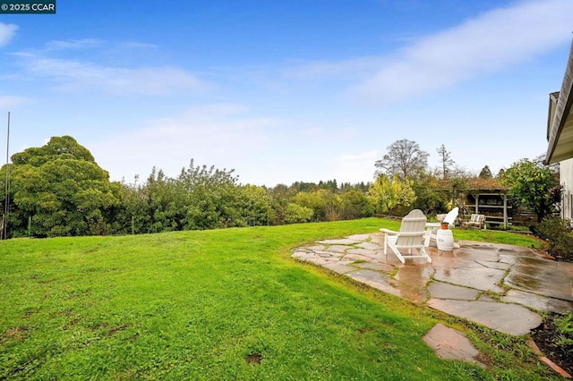 view of yard with a patio area