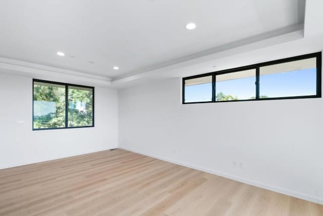 unfurnished room featuring a raised ceiling and light hardwood / wood-style floors