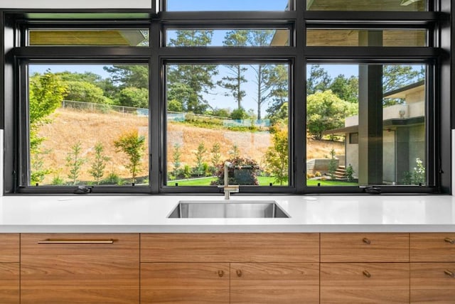 kitchen with plenty of natural light and sink