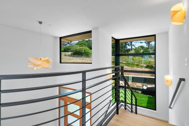 hallway with a wall of windows and light hardwood / wood-style flooring