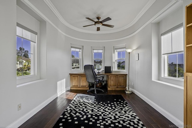 office featuring ornamental molding, dark hardwood / wood-style floors, and ceiling fan