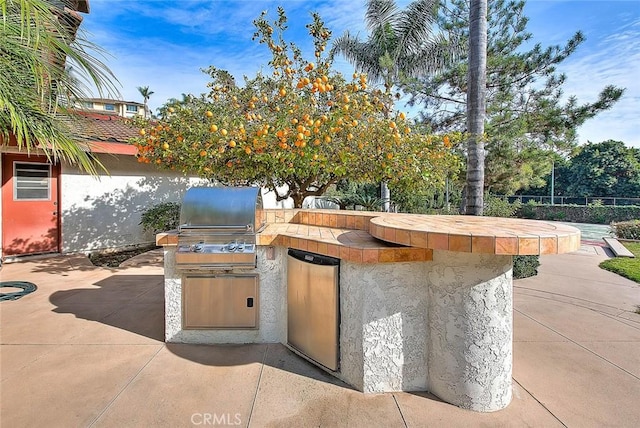 view of patio with area for grilling and an outdoor kitchen