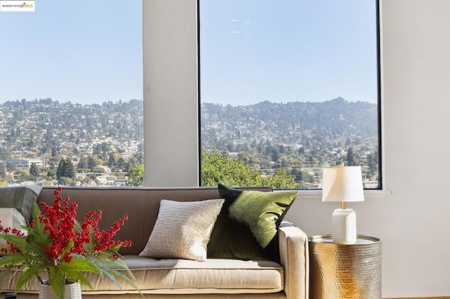 living area featuring a wealth of natural light