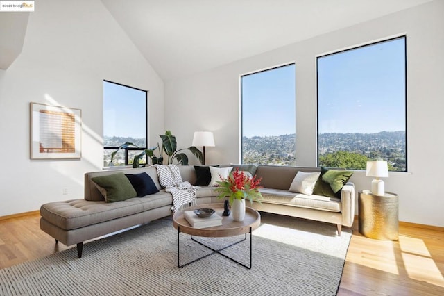 living room with wood-type flooring, high vaulted ceiling, and a wealth of natural light