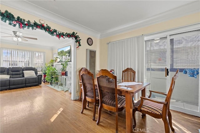 dining area with crown molding, ceiling fan, and light hardwood / wood-style flooring