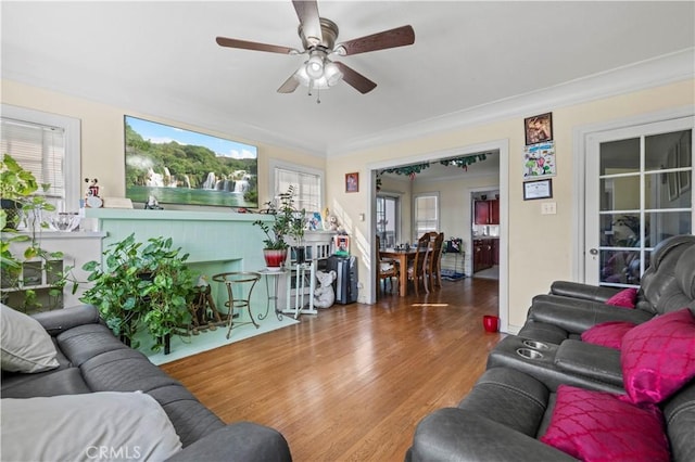 living room with ceiling fan, wood-type flooring, ornamental molding, and plenty of natural light