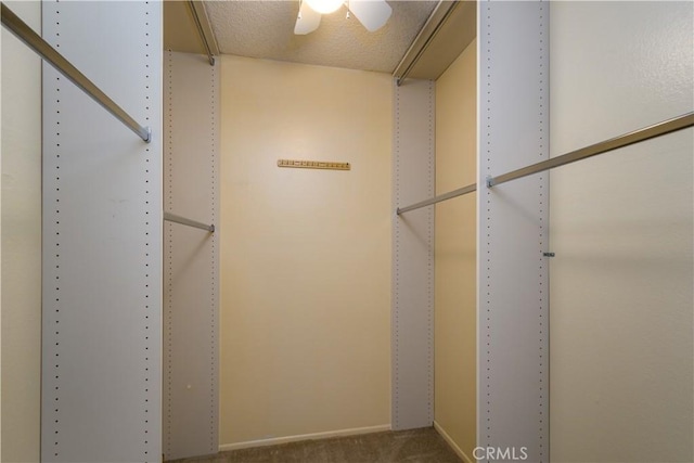 spacious closet featuring carpet flooring