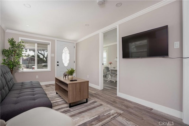 living area featuring ornamental molding, a healthy amount of sunlight, and baseboards