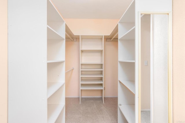 spacious closet featuring carpet