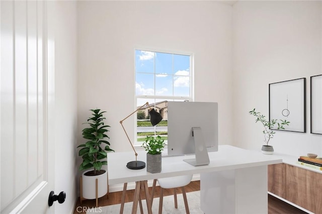 office space featuring dark hardwood / wood-style flooring