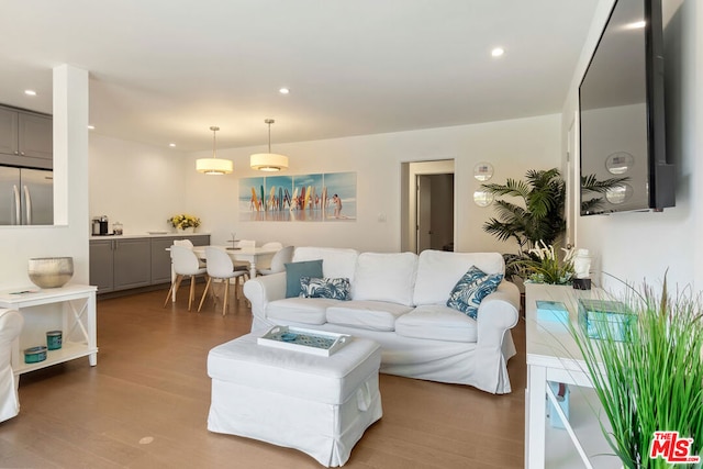 living room featuring hardwood / wood-style floors