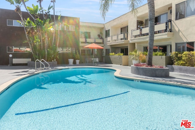 view of pool featuring a patio area