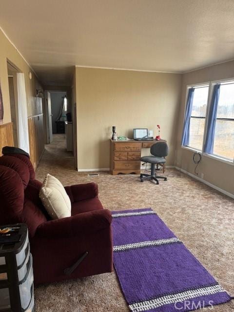 living room with carpet