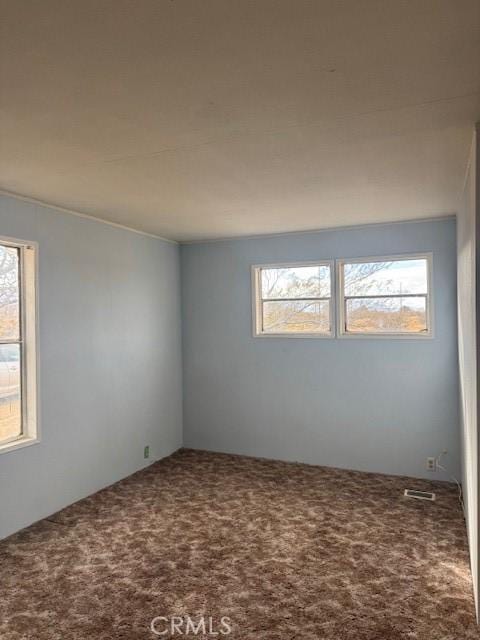 carpeted spare room with a wealth of natural light