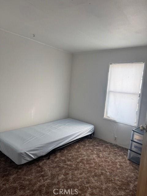 unfurnished bedroom featuring dark colored carpet