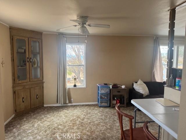 office space featuring ceiling fan and carpet