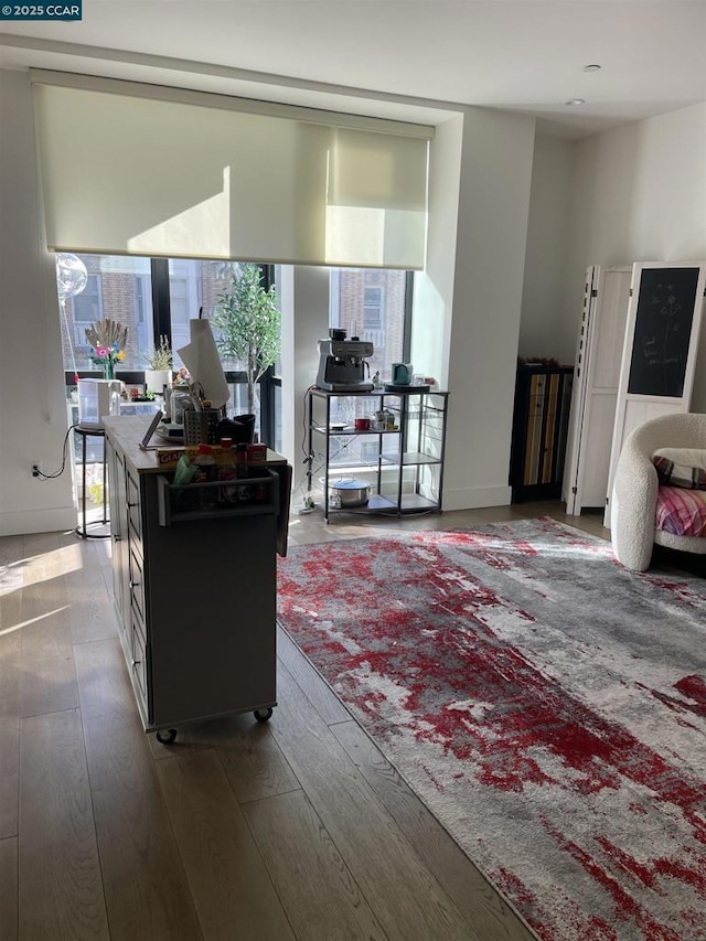 living room featuring dark hardwood / wood-style flooring