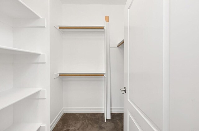 spacious closet with carpet