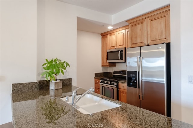 kitchen featuring stone countertops, appliances with stainless steel finishes, and sink