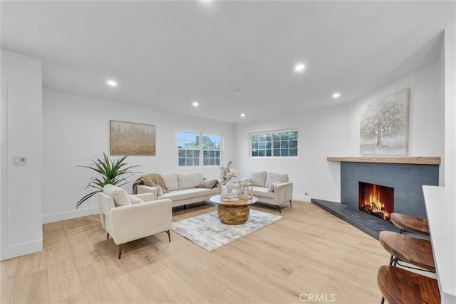 living room with a fireplace and light hardwood / wood-style floors