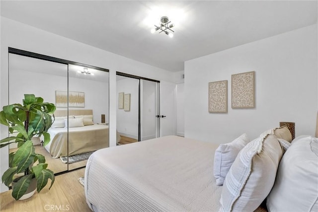 bedroom with multiple closets and wood-type flooring