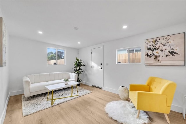 living room featuring light hardwood / wood-style flooring