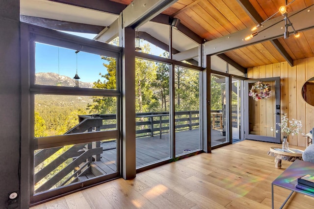 entryway with hardwood / wood-style floors, expansive windows, and a healthy amount of sunlight