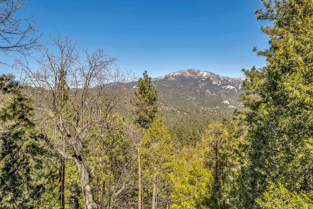 property view of mountains