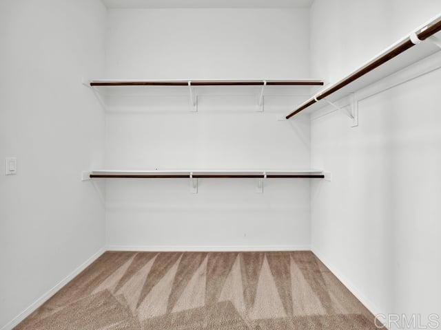 walk in closet with light colored carpet