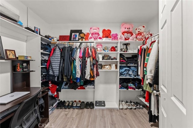 spacious closet with wood-type flooring