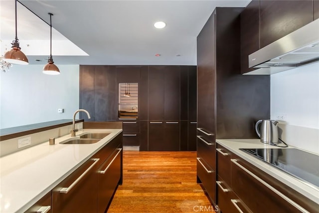 kitchen featuring sink, light hardwood / wood-style flooring, black electric cooktop, pendant lighting, and wall chimney range hood