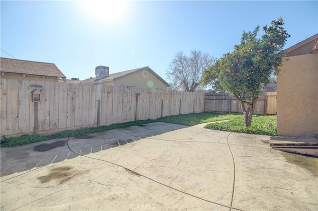 view of yard with a patio