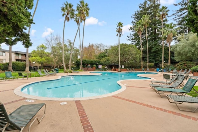 view of pool with a patio area