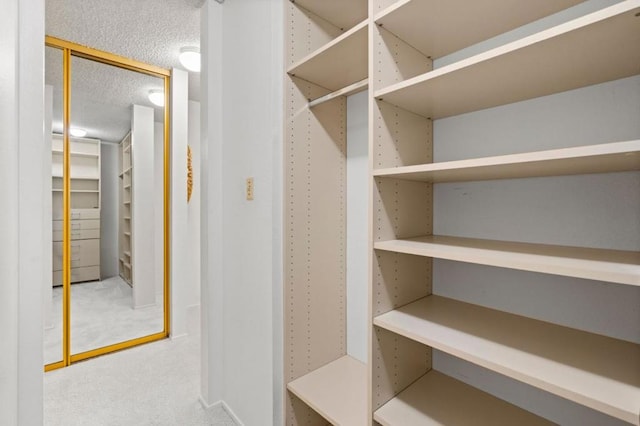 spacious closet featuring carpet