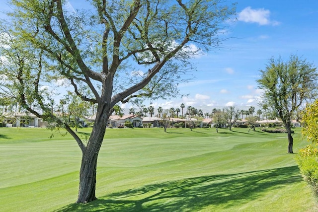 view of community with a yard