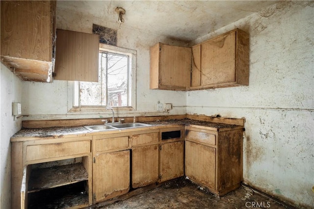 kitchen featuring sink