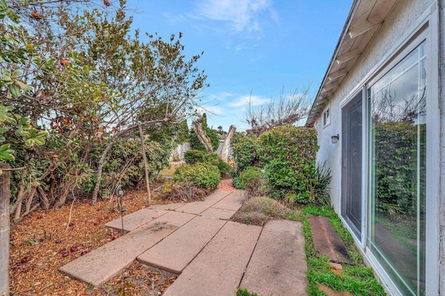 view of yard with a patio