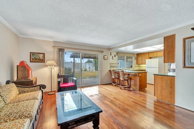 living room featuring ornamental molding, a textured ceiling, and light wood-type flooring